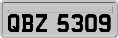 QBZ5309