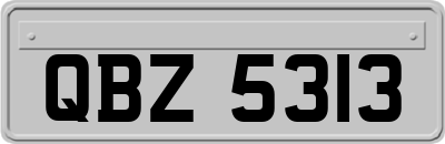 QBZ5313