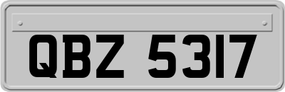 QBZ5317