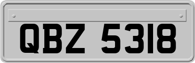 QBZ5318