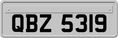 QBZ5319