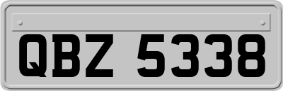 QBZ5338