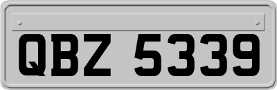 QBZ5339