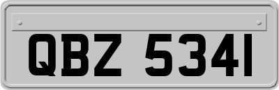 QBZ5341