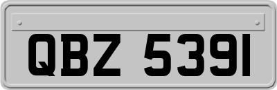QBZ5391