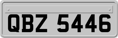 QBZ5446