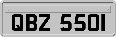 QBZ5501