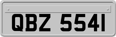 QBZ5541