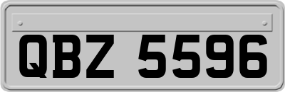 QBZ5596