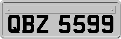 QBZ5599