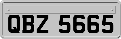 QBZ5665