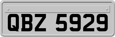 QBZ5929