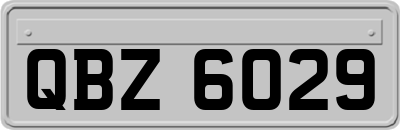 QBZ6029