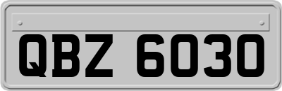 QBZ6030