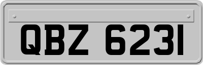 QBZ6231