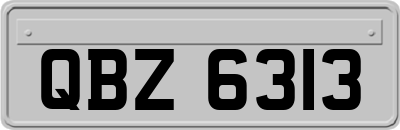 QBZ6313