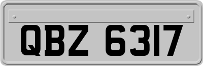QBZ6317