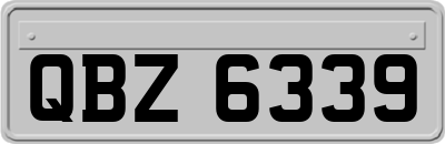 QBZ6339