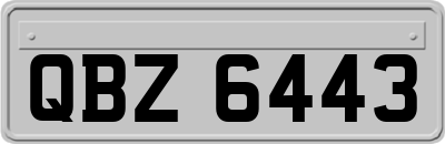 QBZ6443