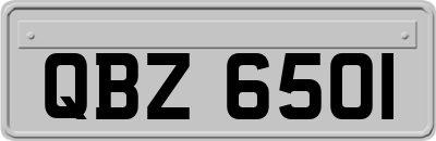 QBZ6501