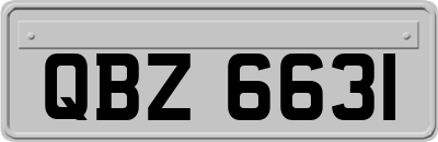 QBZ6631