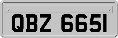 QBZ6651