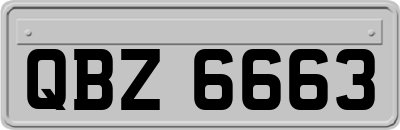 QBZ6663