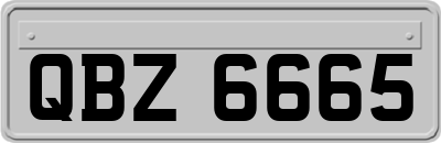 QBZ6665