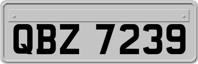 QBZ7239