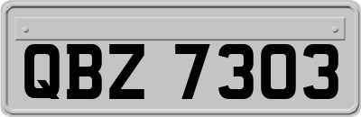 QBZ7303