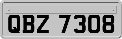 QBZ7308