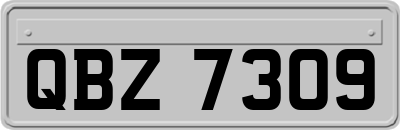 QBZ7309