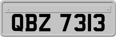 QBZ7313