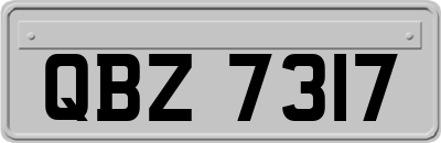QBZ7317