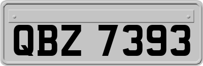 QBZ7393