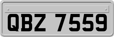 QBZ7559