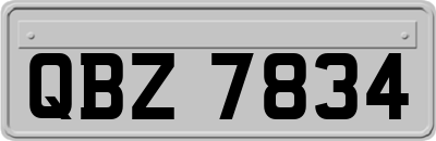 QBZ7834