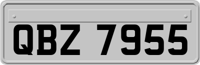 QBZ7955