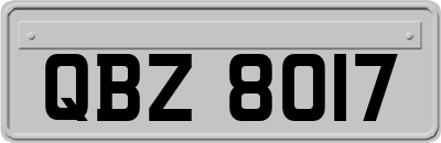 QBZ8017