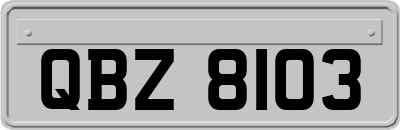 QBZ8103