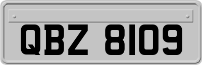 QBZ8109