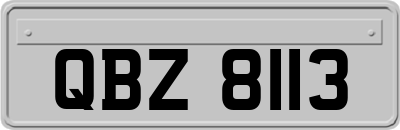 QBZ8113