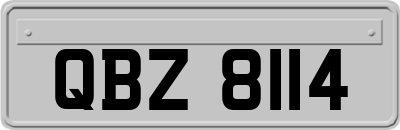 QBZ8114