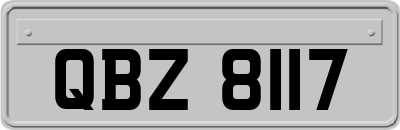 QBZ8117
