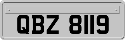 QBZ8119