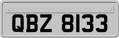 QBZ8133