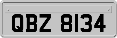 QBZ8134
