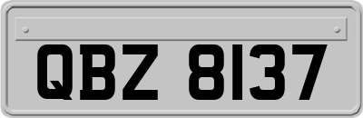 QBZ8137