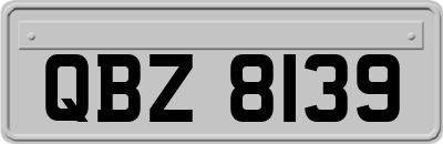 QBZ8139