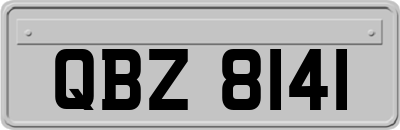 QBZ8141